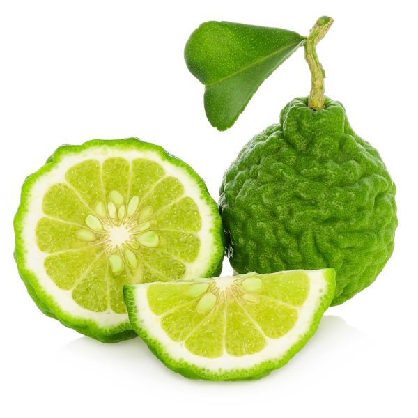 Organic Bergamot Essential Oil – 10 ml – Italy - Image 2