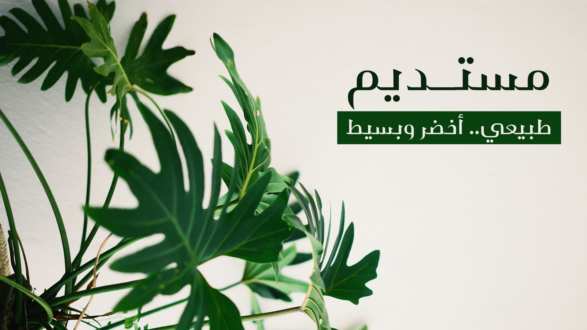 mustadeem-banner011