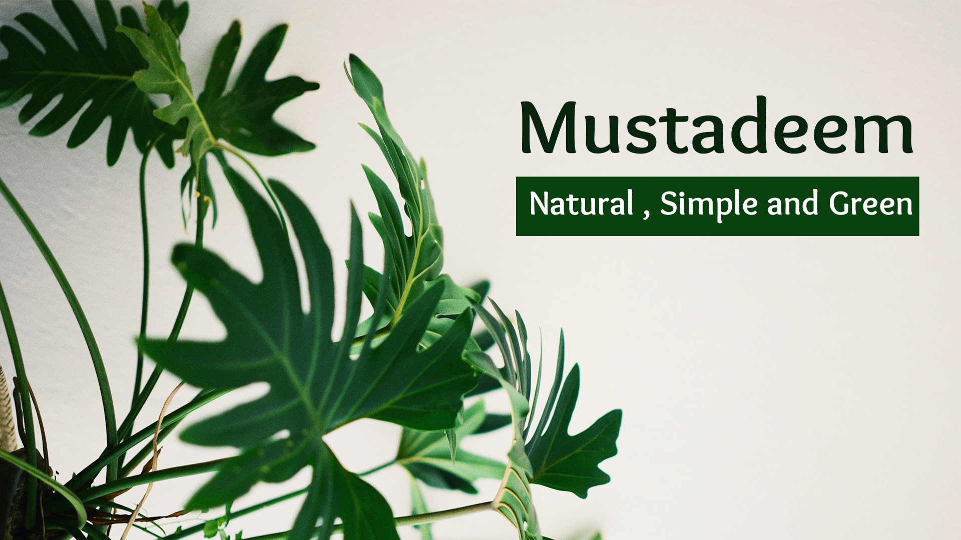 mustadeem banner011