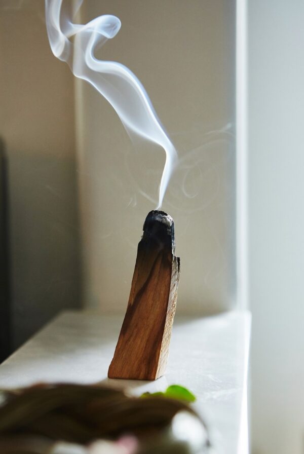 Palo Santo Sticks for Smudging and Cleansing the Energy of the Place - Image 2