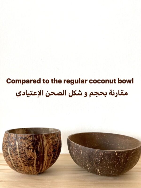 Rough-Shell Coconut Bowl - Image 4