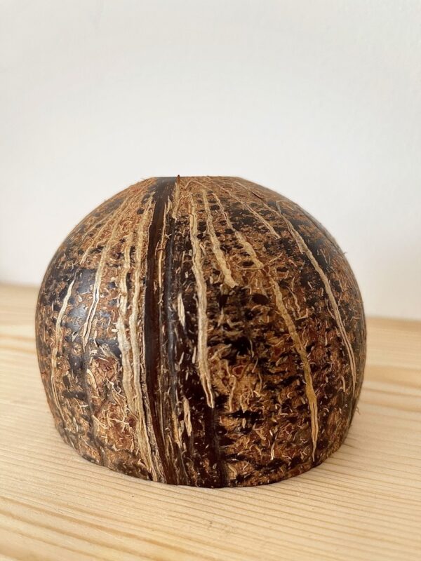 Rough-Shell Coconut Bowl - Image 2